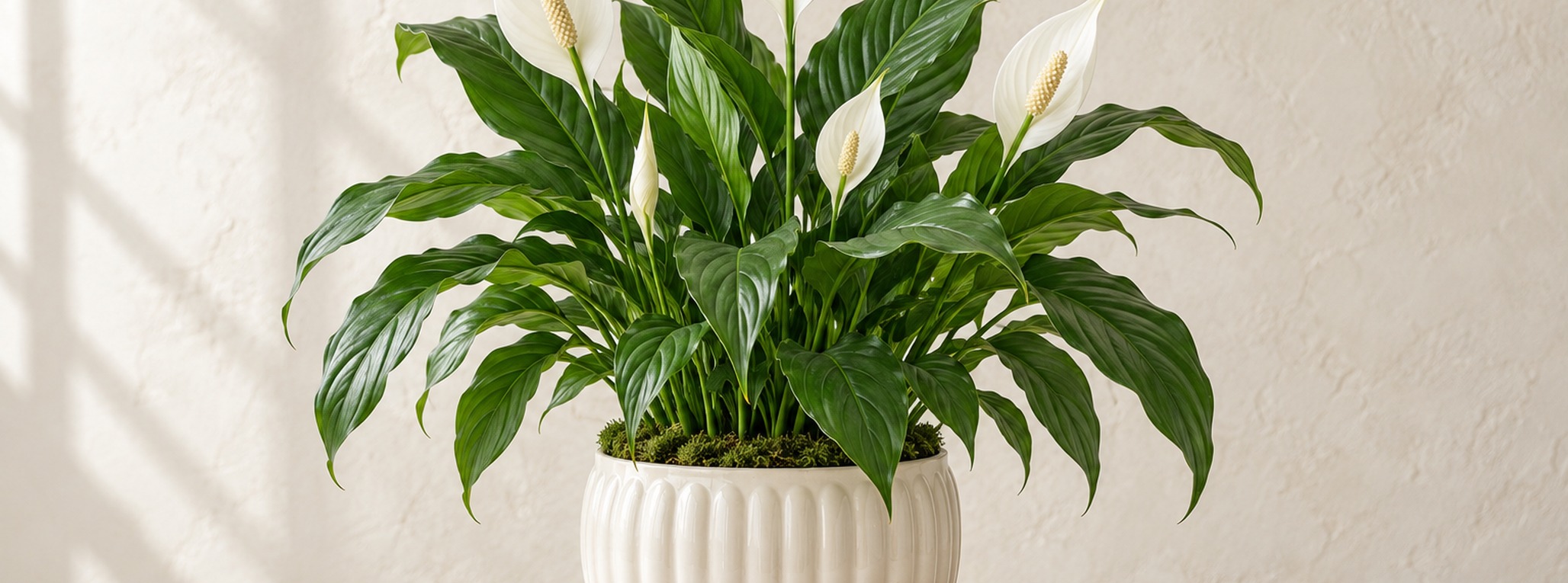 Seasonal floral design — illustrative floral photography